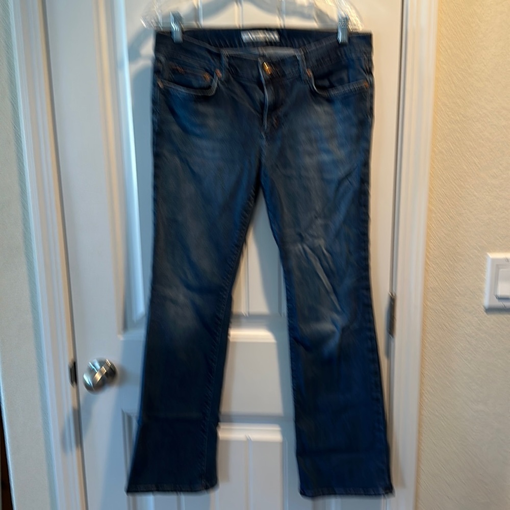 Joe’s “Provocateur” Jean, Size 31 (runs small!)